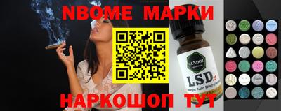 крисы Кингисепп
