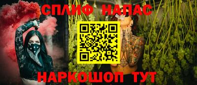 крисы Кингисепп