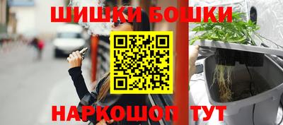 крисы Кингисепп