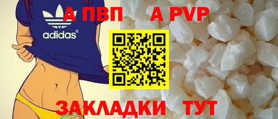крисы Кингисепп