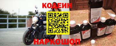 крисы Кингисепп