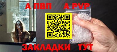 крисы Кингисепп