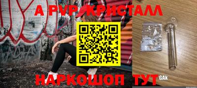 крисы Кингисепп