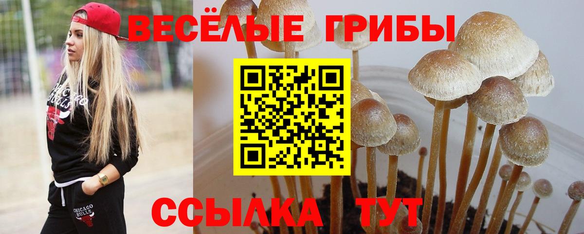 Галлюциногенные грибы ЛСД  Псилоцибиновые грибы мухоморы  Вход с VPN  продажа наркотиков  Клинцы 