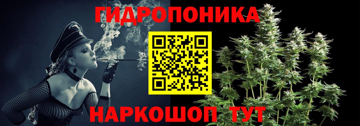 Шишки марихуана ГИДРОПОН  Бошки марихуана Ganja  Марихуана план  Бошки Шишки OG Kush  Вход с VPN  Клинцы 